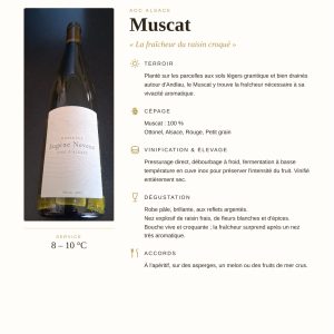 Muscat 2025 Domaine Eugene Neveux