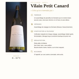 Vilain Petit Canard 2025 Domaine Eugene Neveux