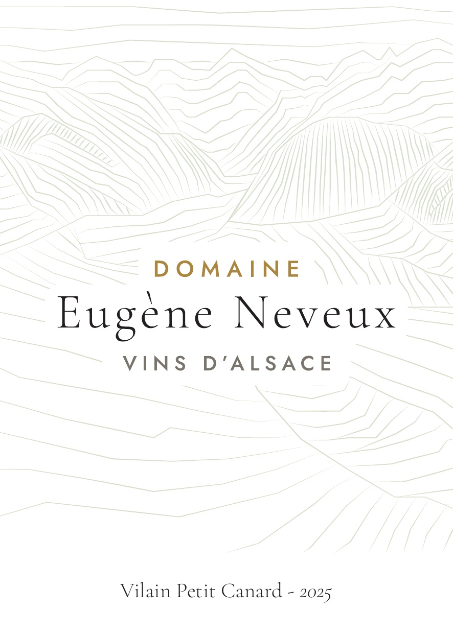 Vilain Petit Canard 2025 Domaine Eugene Neveux – Image 2